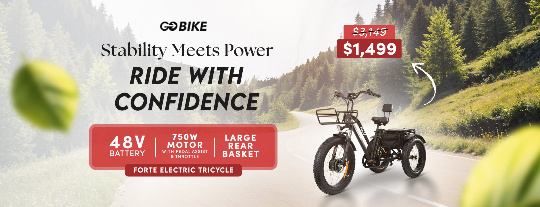 ElectricGOBIKE